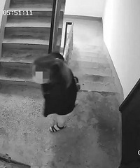 �����������ϡ����ڡ������Ӷ�������ˮ���������ź������¿�ˮ��