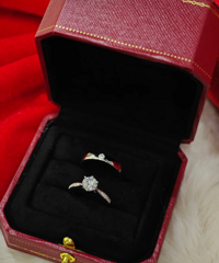 ���������������ó������Ǽ������