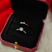 ��������ļٶԽ�