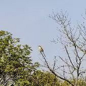 Ϊɶ���Ҳ�ε�Ӱֻ��