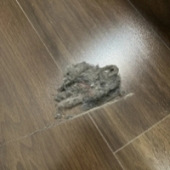 ÿ�ζ���ɨ����...