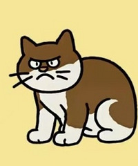 ��Ҳ�����޵��·������� �����������