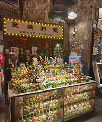 ��ɳ�ĺ��������鴫��һ���ļ�����С��Ϻ��Ҳ̫�Ҹ��˰ɣ�