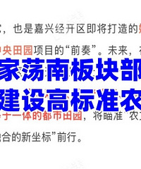 Ҧ�ҵ��Ϲ滮�ĺ�û�ˣ�