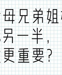 ��ĸ�ֵܽ���vs��һ�� ˭����Ҫ��