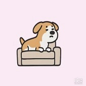 ���������Ҹ������