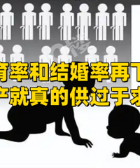 �����ʽ�����ٵ����������湩��������...