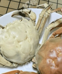 ��ɫ��բз������𣿸ҳ���