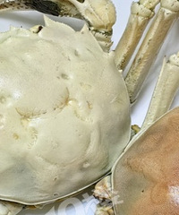 ��ɫ��բз������𣿸ҳ���