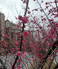 ����ȥ��ѵĵط����£�ʡ�����+���Ź�+��ѧ��ֵ��һȥ