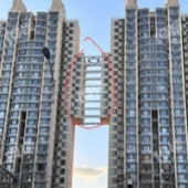 �ⷿ��Ϊɶ���������