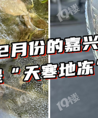 ����̹ǣ����Ķ������