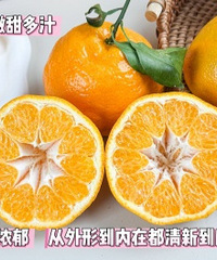 ����һ�����ܴ����Ĵ����ҰҸ̣�������ȥ