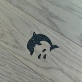 ľ�ذ���װ����ÿɰ�