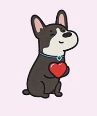 �������ѹ���󣿻��ǲ��鲻��ѹ����