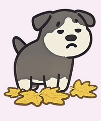 һ���˴��� �����������ʱ�� ��Ҷ�����ô����ģ�