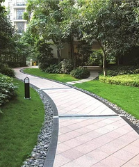 ���޻�����Сʱ����ô������ ��ô��ô�Ѱ�