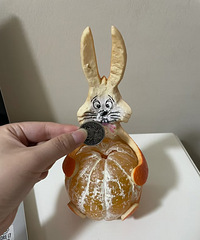 这是啥美丽废物的存钱罐!还没存钱pdd要我一百块...