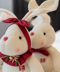 ��ֵ���ֵ�ѹ�����ã���ô�����ɰ���