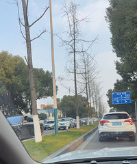 û��ѧ��·���Ķ�˳������ѧ��һ�� �ֿ�ʼ�˶³��߷壡