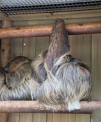 ������ޣ����ݳ�¡����԰��ĺ�ֵ��ȥ��