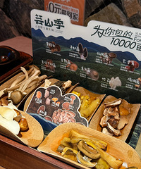 ������ħ�����ö��־�����������û������...