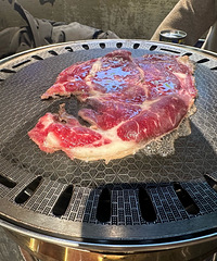 ���������ɱ�������Ե�������ִ�� ���㣡