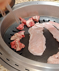 �˰۰���ҿ���Ҳ̫�д����ˣ�õ�廨���Ɑ�������