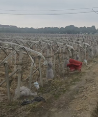 ���м����Ϻ�֧�У�������ũ�澳ͻΧ