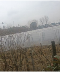 建行嘉兴南湖支行,助力果农逆境突围
