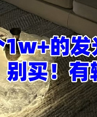 ����һ��1w+�ķ���輸...