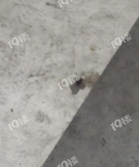 ˭����ŵ��𣿣�����ĳͣ������ĳ�λ���кöඤ�Ӱ���