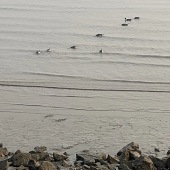 ��н��ǧ������С����