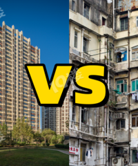 �����·�vs��������С���죡���ѡ��