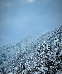 ������׷ѩ��6��Сʱ ֻ�����˰�ɽ�����أ�����һ�ж���ֵ��