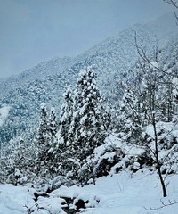 ������׷ѩ��6��Сʱ ֻ�����˰�ɽ��