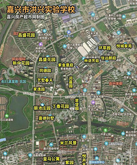 ��α�����ʵ�飬�����������ѧ������