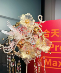 ������Ƭ�Ľ�����ȣ�