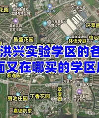 ��α�����ʵ�飬�����������ѧ������