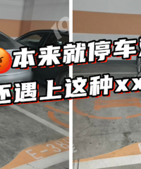 ��ͣ����ĺ����ᣡ