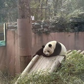 ���ݶ���԰һ��