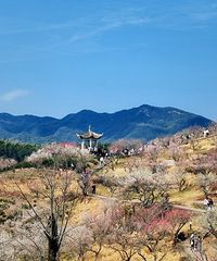 ����ͽ�����ն���·�ߣ�����ʮ��÷�ȣ�����5���