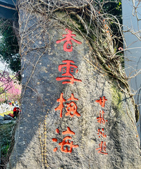 ����ͽ�����ն���·�ߣ�����ʮ��÷�ȣ�����5���