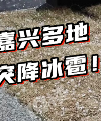 ����ž��������ž����