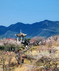 ���ն�����������ʮ��÷�ȣ�����5���