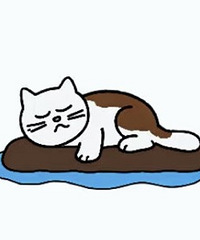 ��ʱ�޿̲��ں�����϶����������¾ͻ�ȥ һ�϶����۰�