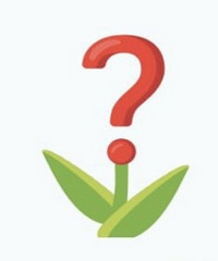 ��ͷһ��Ҫ������������һ�����ָ���������