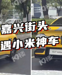 ʵ����˧��