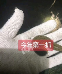 �ѹ����������ҹ��������ˣ�150-250Ԫ/����ô׬��