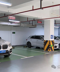 ����ĳС��ʮ���������ң����ı����ϰ�����ҵ�谭���߲ɷ�